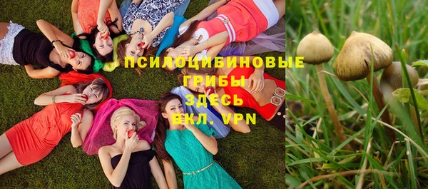 молекула духа Богданович