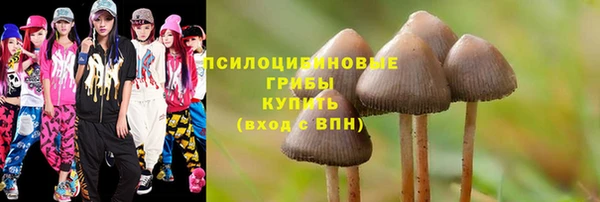 молекула духа Богданович