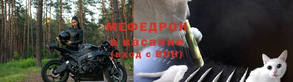 молекула духа Богданович