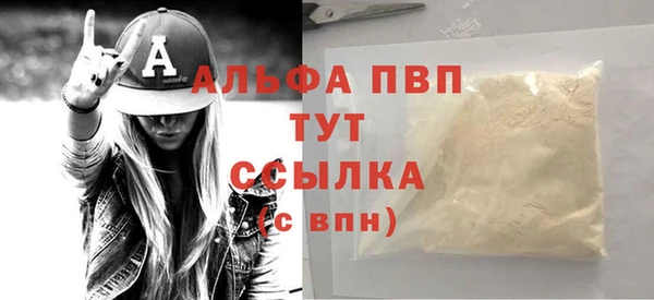 молекула духа Богданович