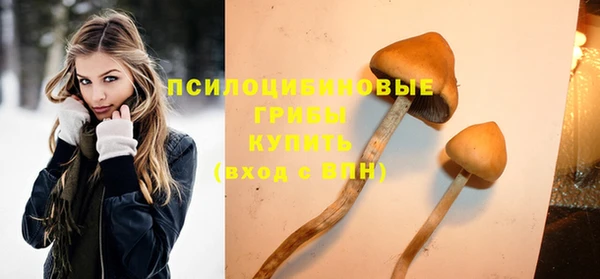 молекула духа Богданович