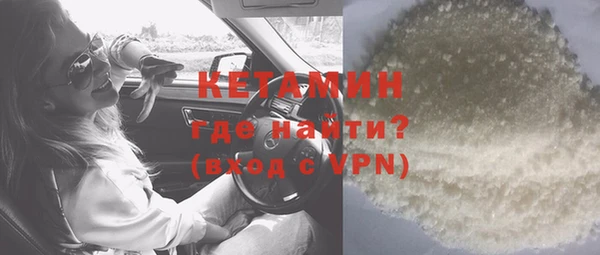 молекула духа Богданович