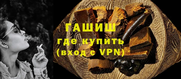 молекула духа Богданович