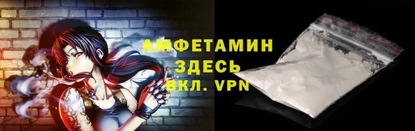 молекула духа Богданович