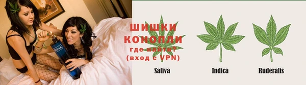 ECSTASY Богородск