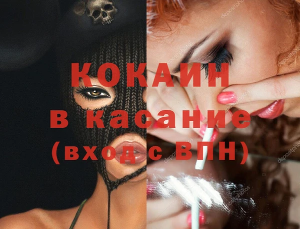 молекула духа Богданович