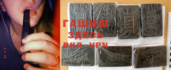 молекула духа Богданович