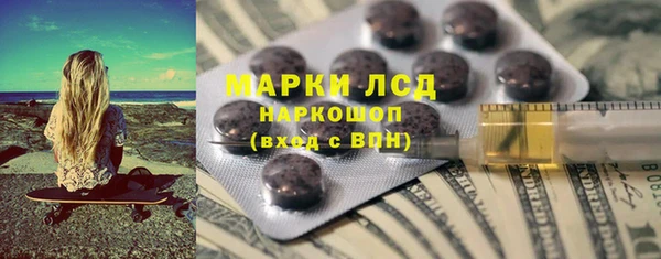 молекула духа Богданович