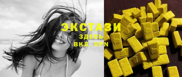 молекула духа Богданович