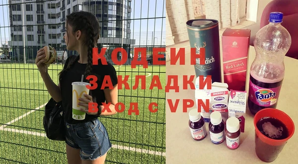 молекула духа Богданович