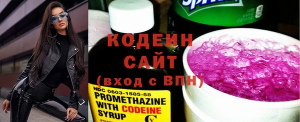 молекула духа Богданович