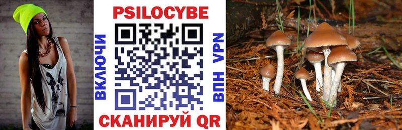 Псилоцибиновые грибы GOLDEN TEACHER  Купить закладки  Рудня 